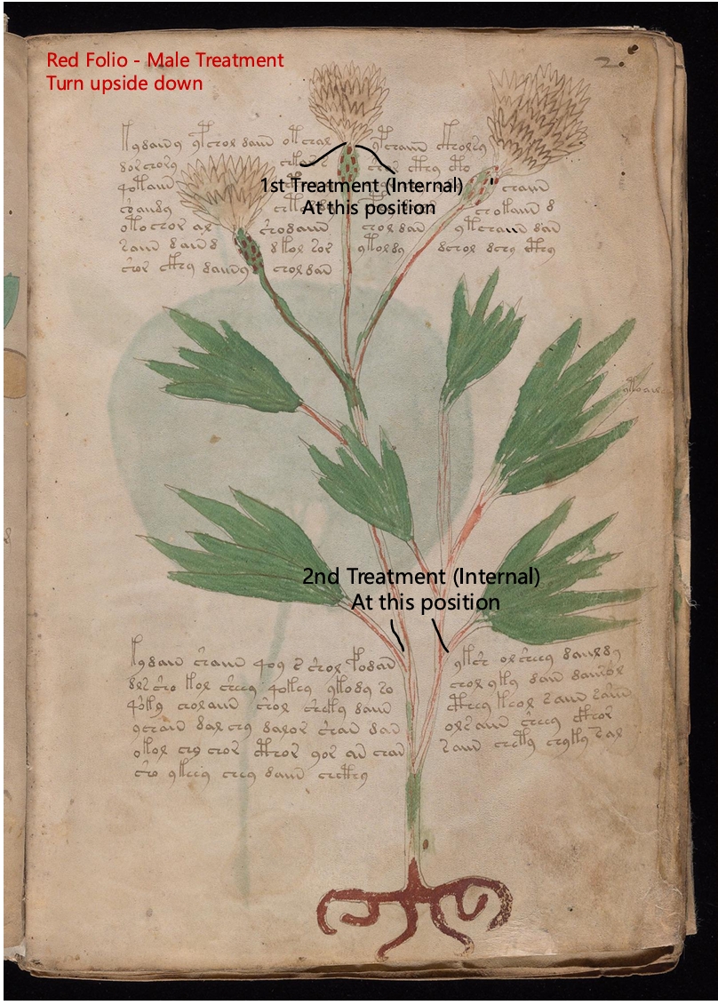 Secondary labelled diagram of Folio 2r